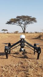 El DJI Inspire en el Serengeti, preparado para volar