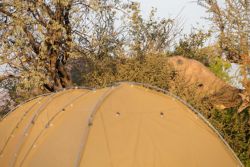 Los elefantes son peligros si se acercan al campamento